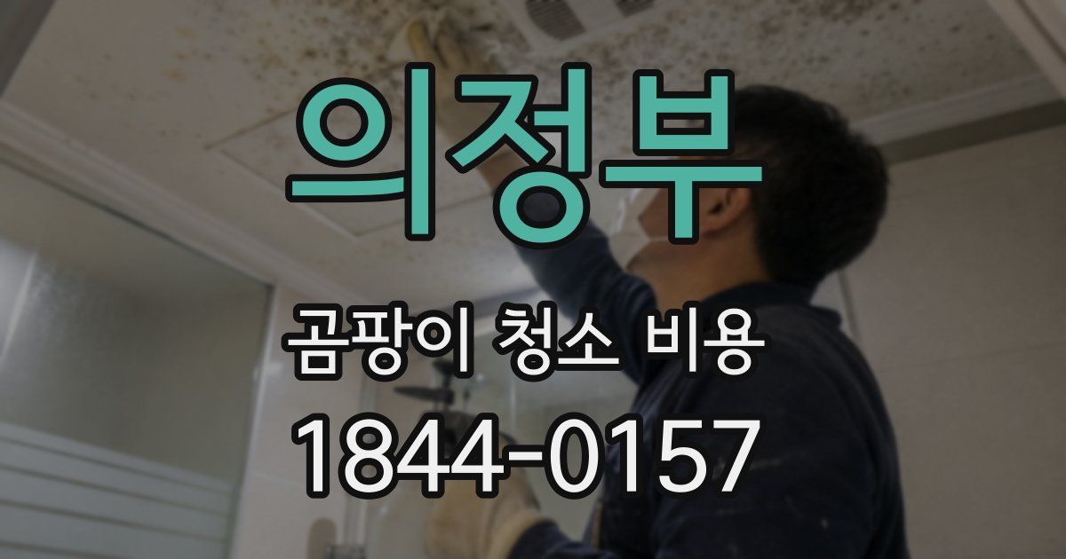 의정부 곰팡이 청소 비용
