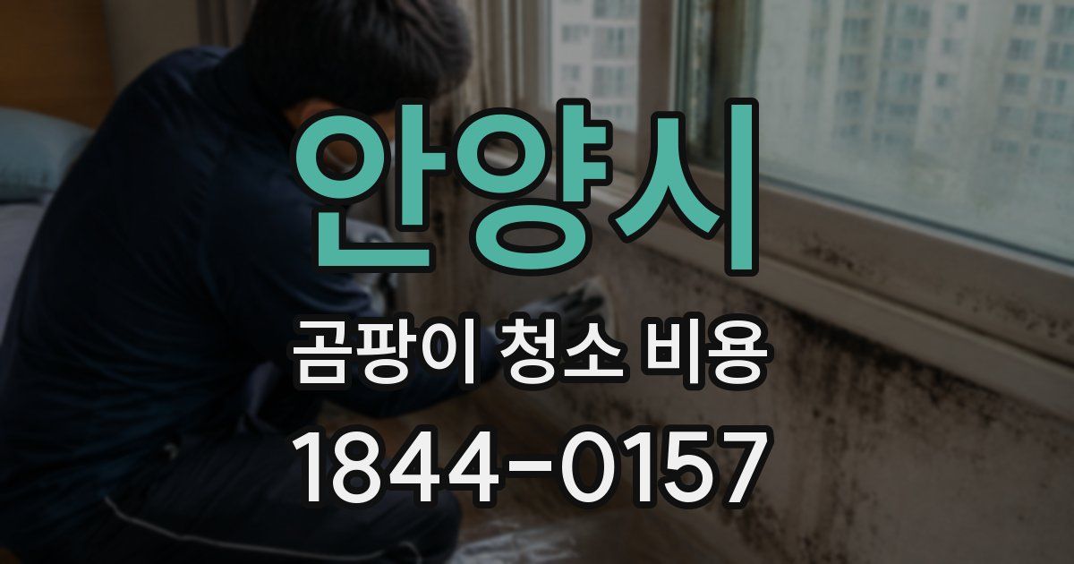 안양시 곰팡이 청소 비용