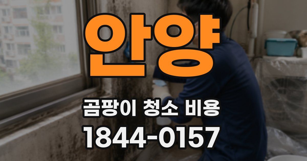 안양 곰팡이 청소 비용