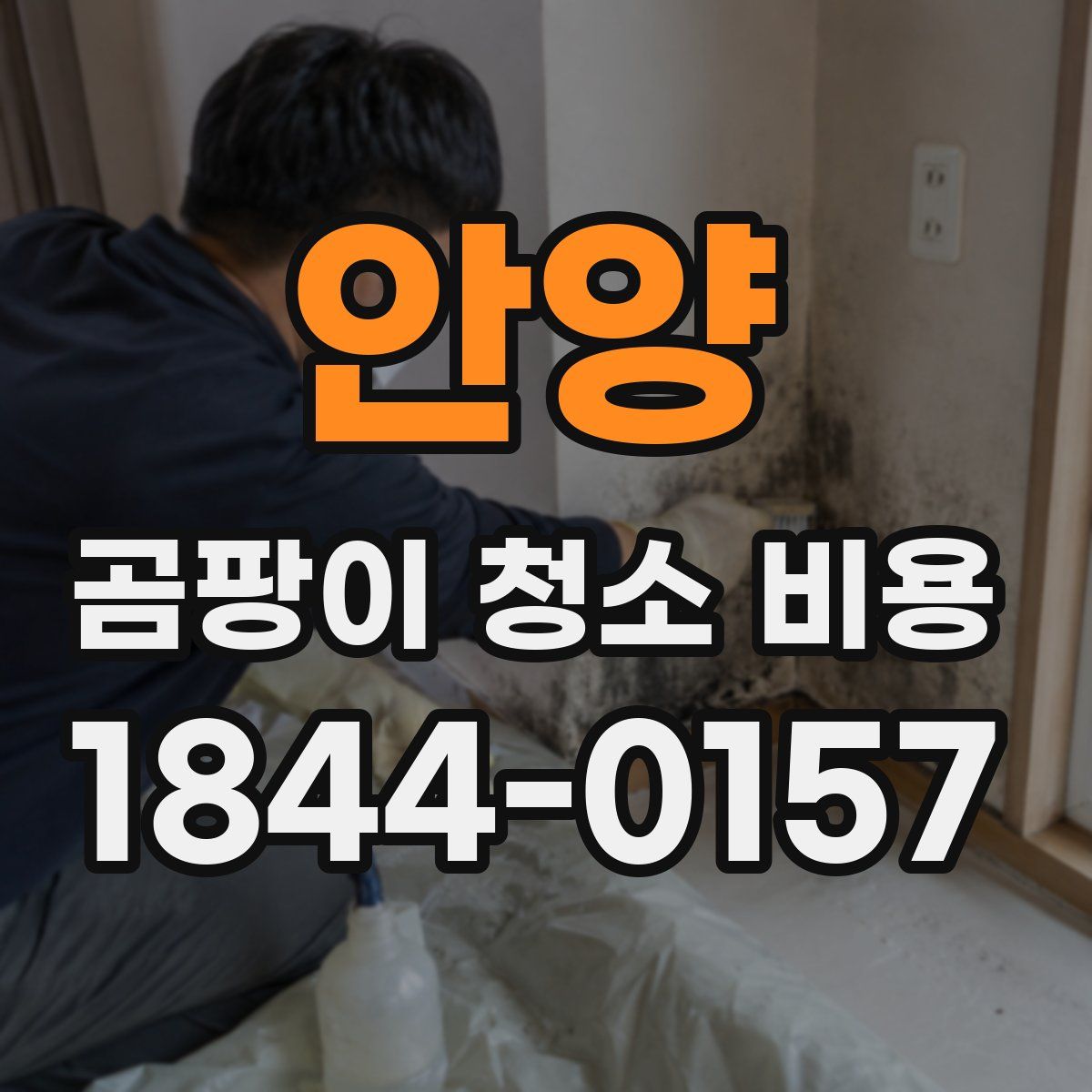 안양 곰팡이 청소 비용