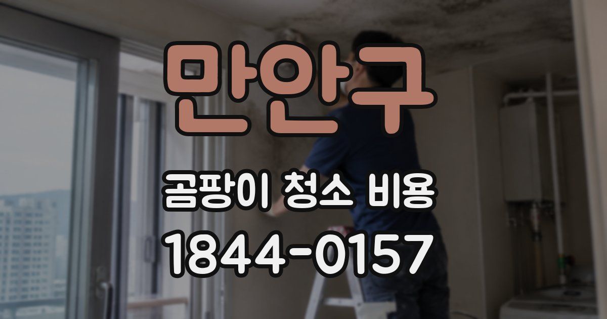 만안구 곰팡이 청소 비용