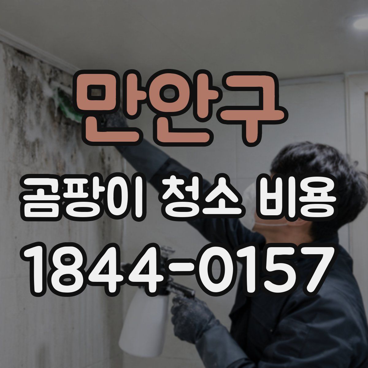 만안구 곰팡이 청소 비용