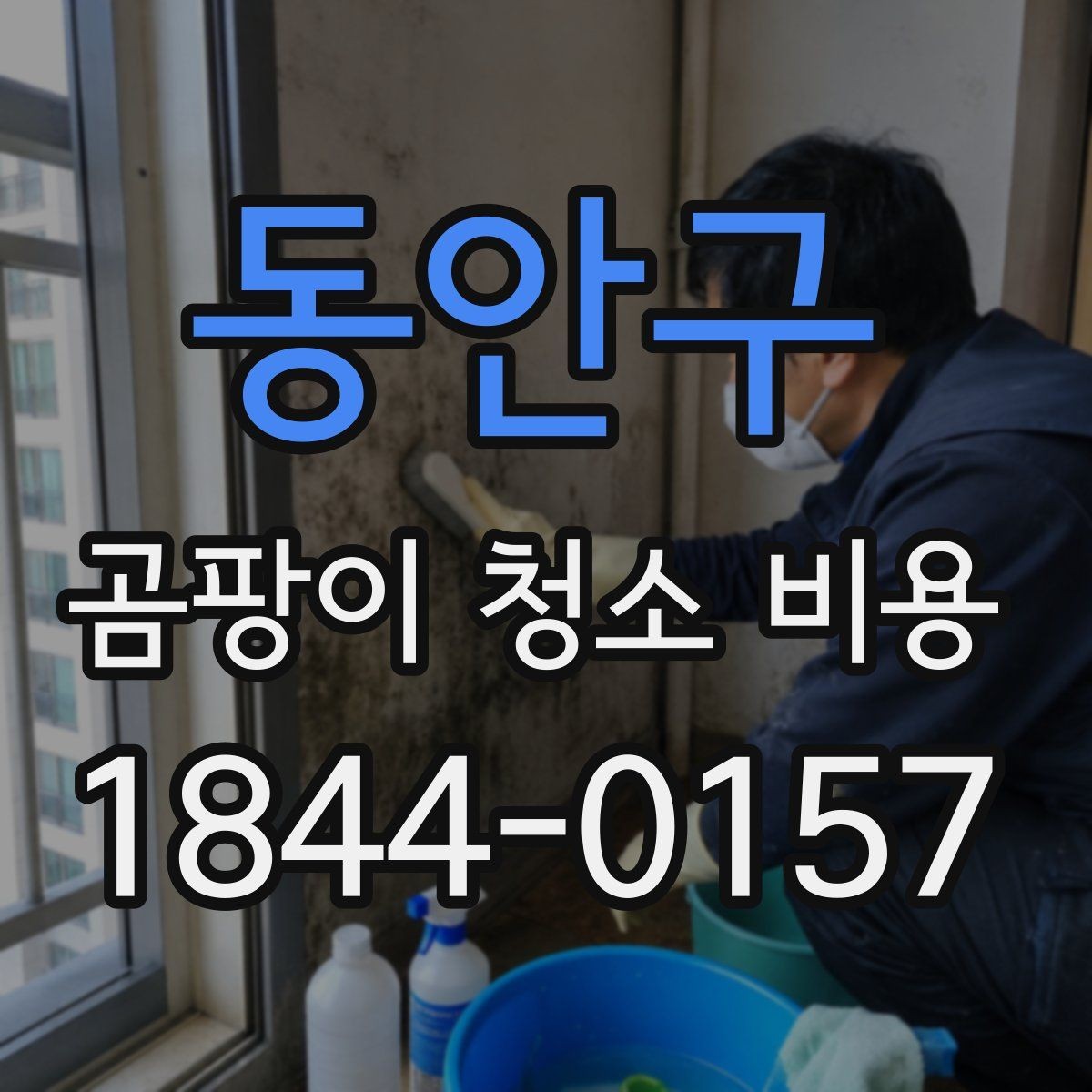 동안구 곰팡이 청소 비용 냉장고 주변 벽면 오염 처리 포인트