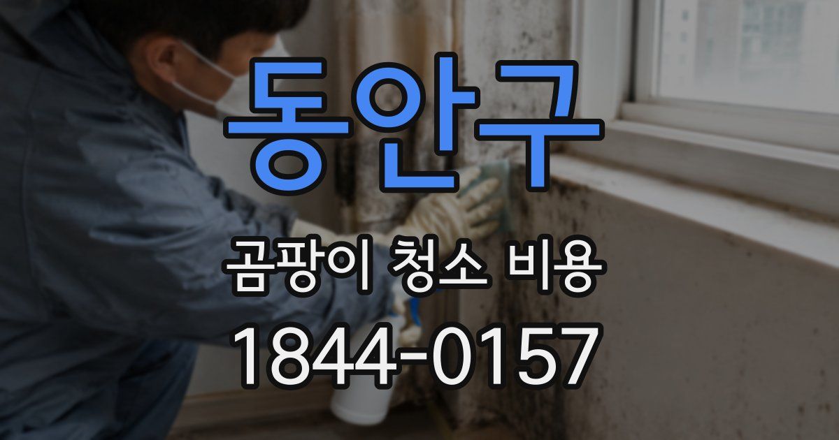 동안구 곰팡이 청소 비용
