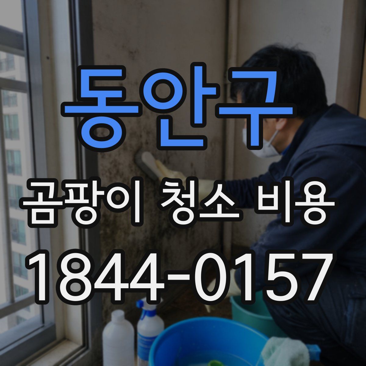 동안구 곰팡이 청소 비용