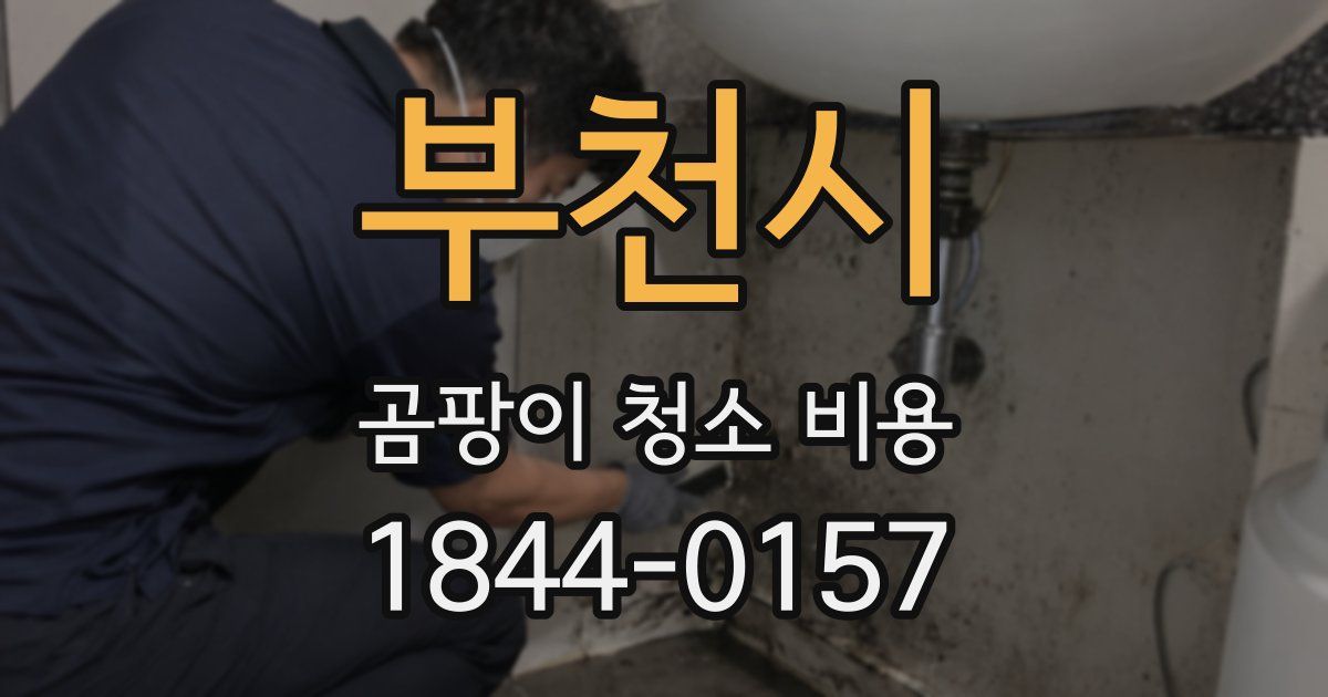 부천시 곰팡이 청소 비용