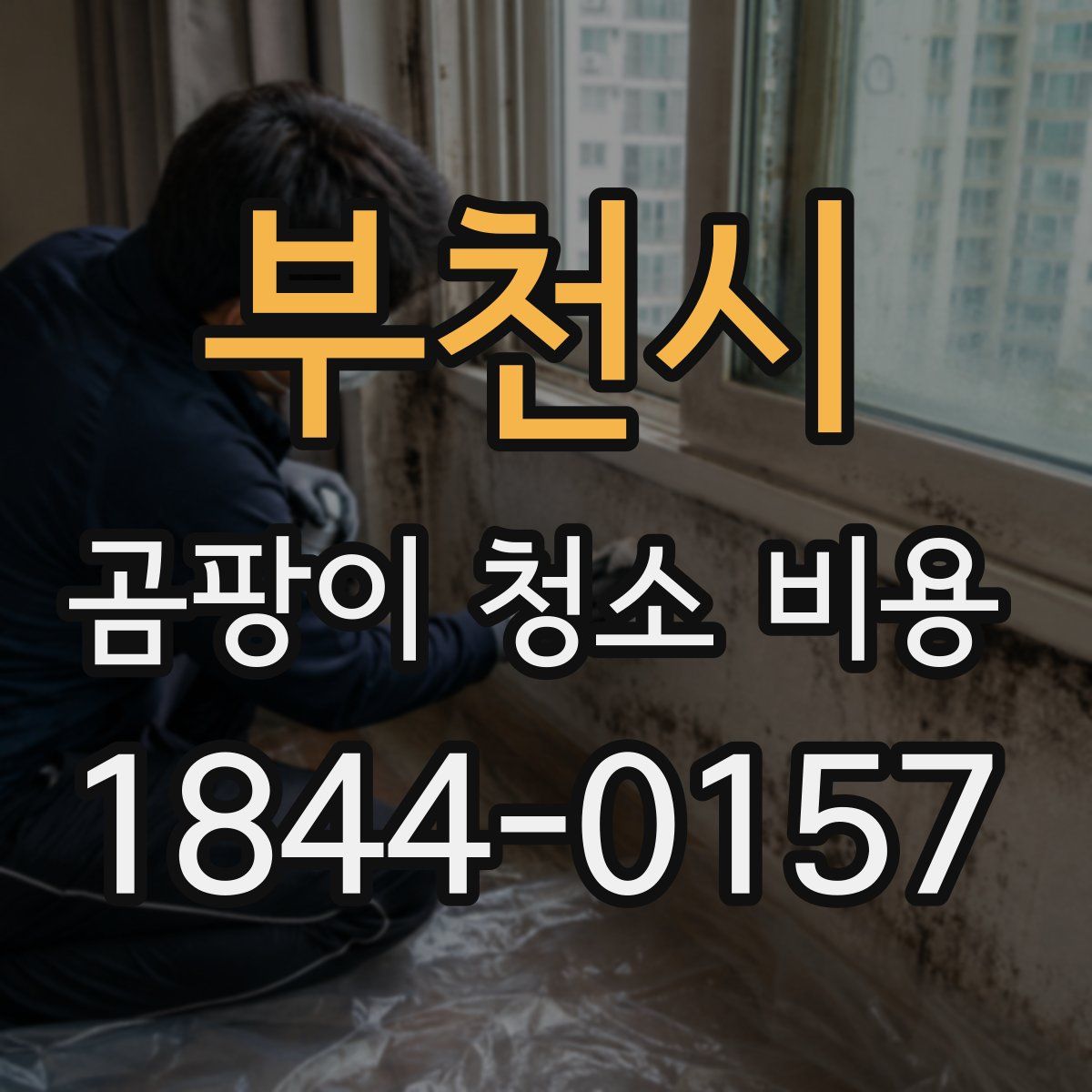 부천시 곰팡이 청소 비용