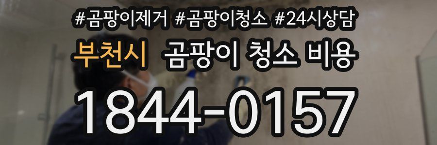 부천시 곰팡이 청소 비용