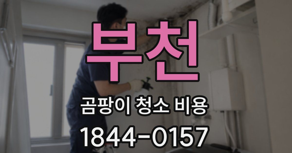 부천 곰팡이 청소 비용