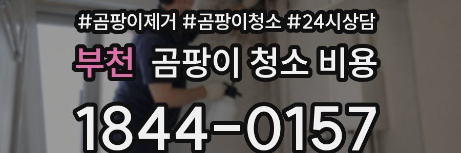부천 곰팡이 청소 비용