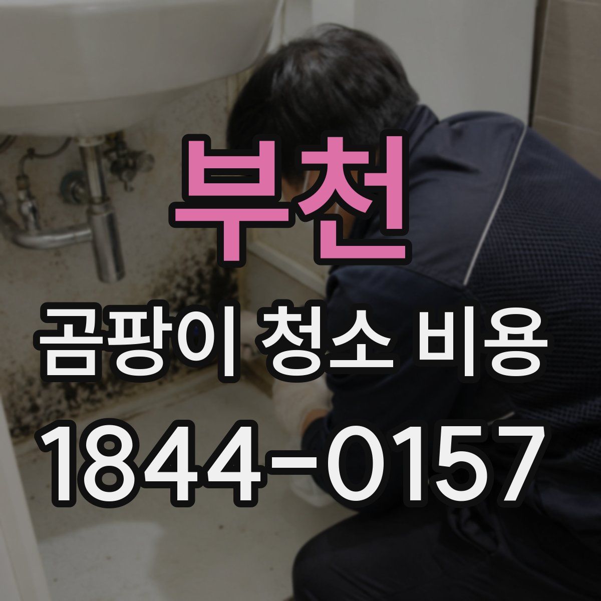 부천 곰팡이 청소 비용