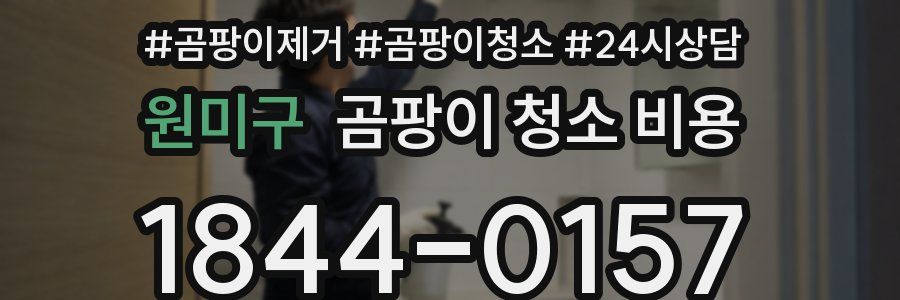 원미구 곰팡이 청소 비용