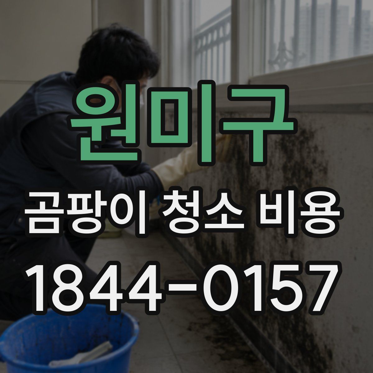 원미구 곰팡이 청소 비용