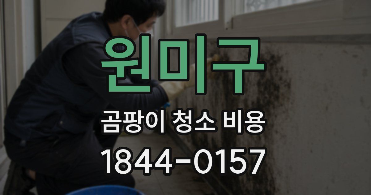 원미구 곰팡이 청소 비용