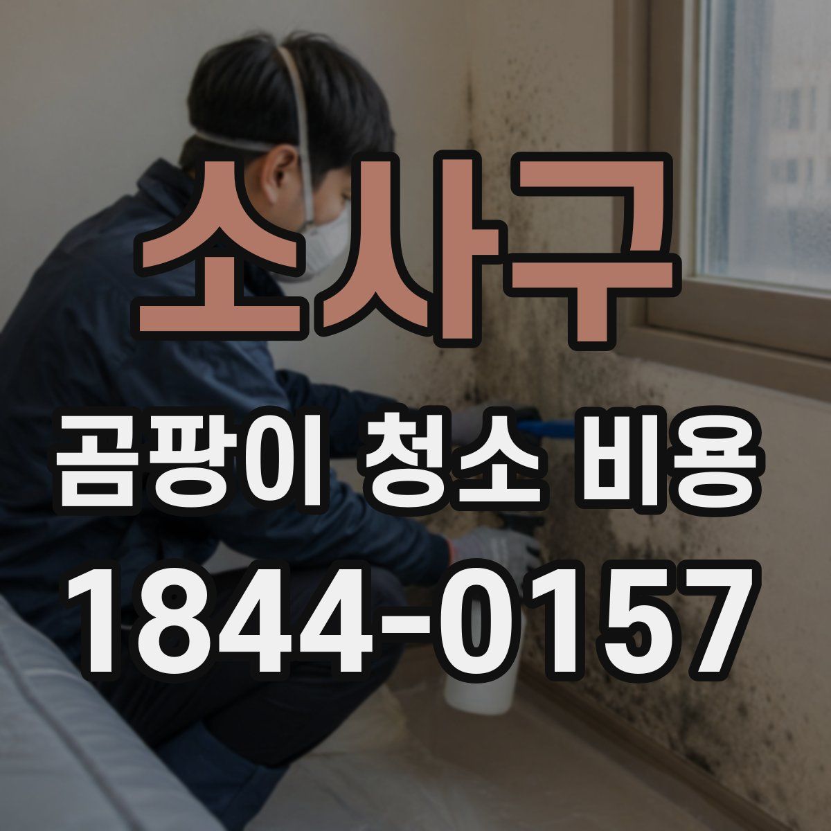 소사구 곰팡이 청소 비용