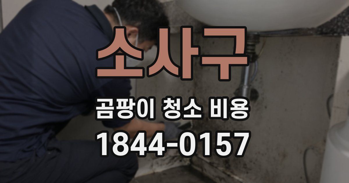 소사구 곰팡이 청소 비용