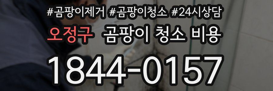 오정구 곰팡이 청소 비용