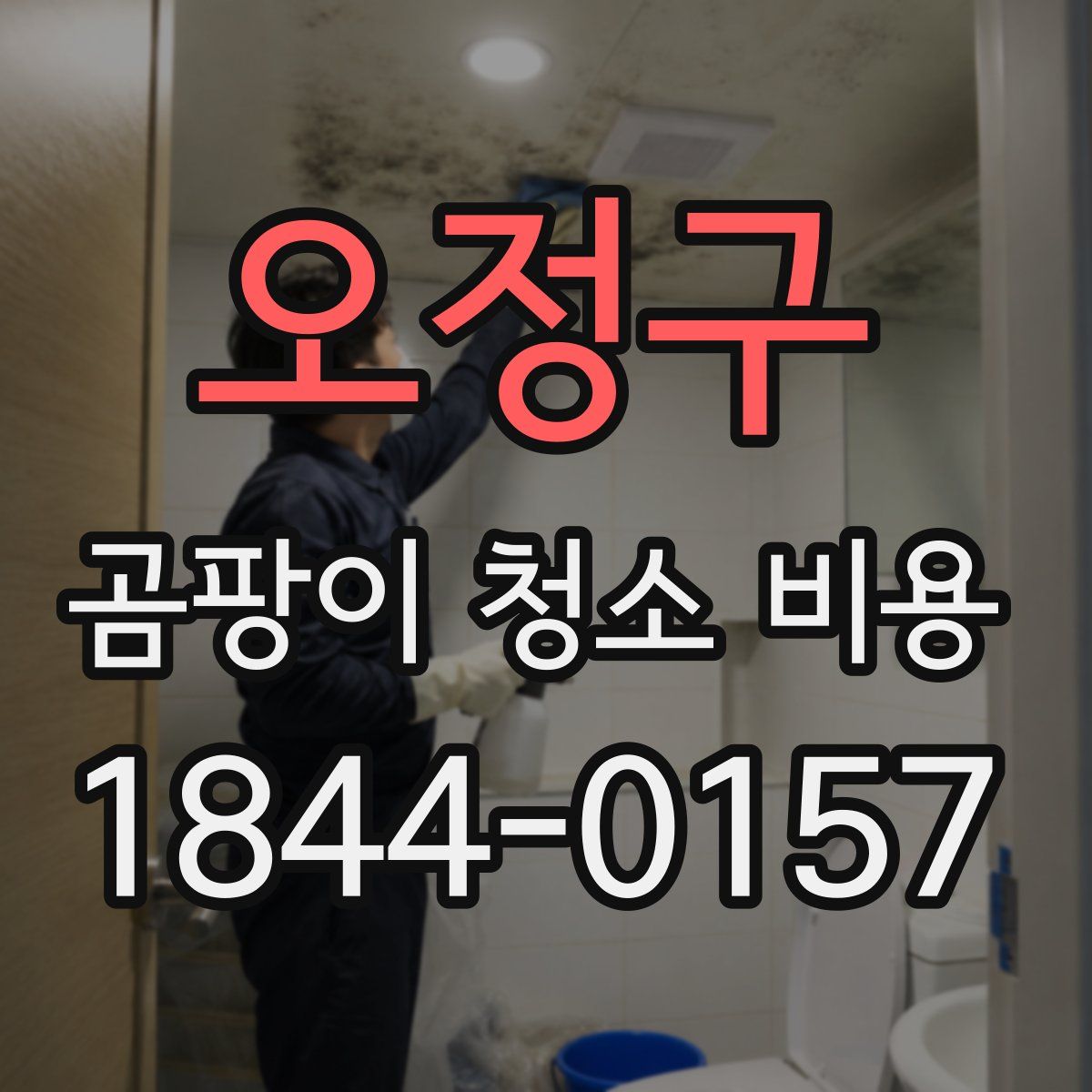 오정구 곰팡이 청소 비용