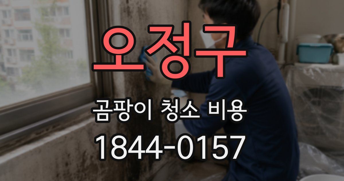 오정구 곰팡이 청소 비용