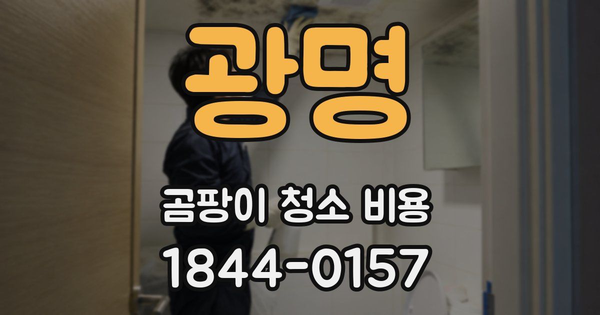 광명 곰팡이 청소 비용