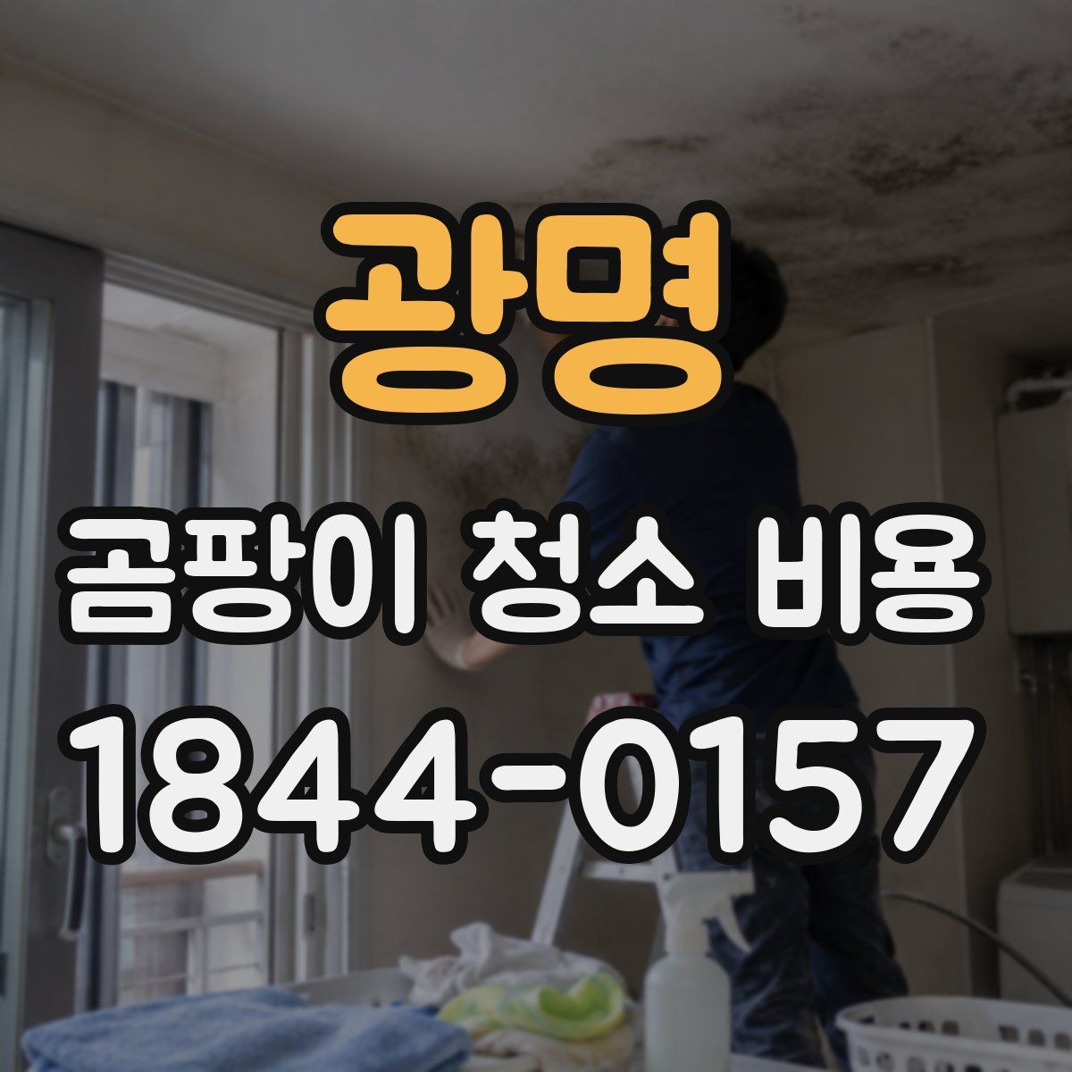 광명 곰팡이 청소 비용