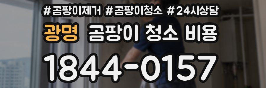 광명 곰팡이 청소 비용