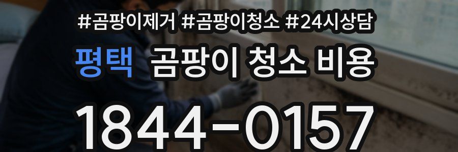 평택 곰팡이 청소 비용