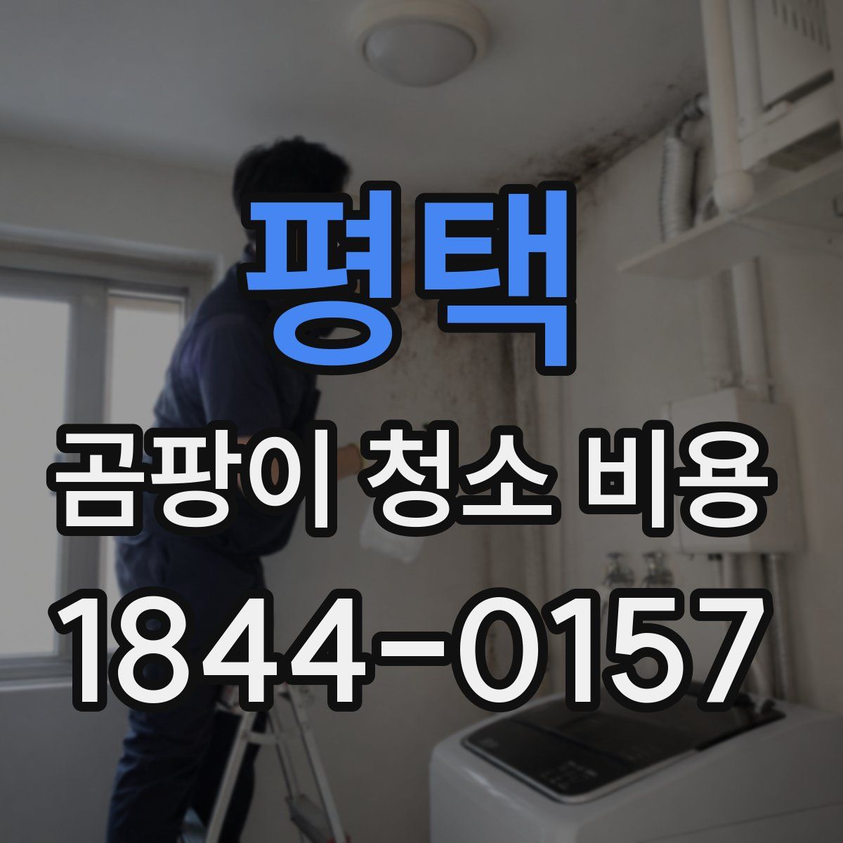 평택 곰팡이 청소 비용