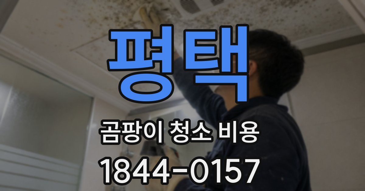 평택 곰팡이 청소 비용