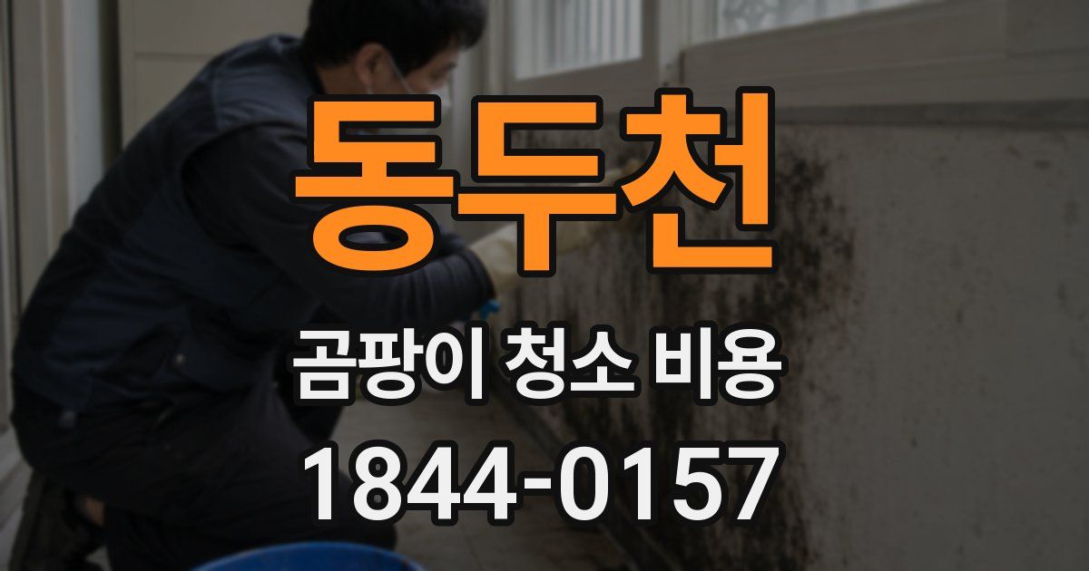 동두천 곰팡이 청소 비용