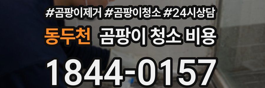 동두천 곰팡이 청소 비용