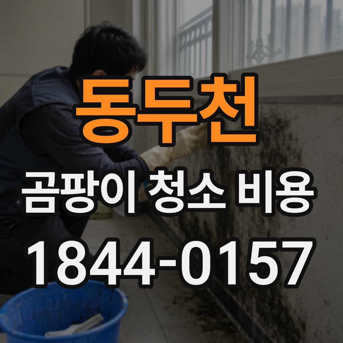 동두천 곰팡이 청소 비용
