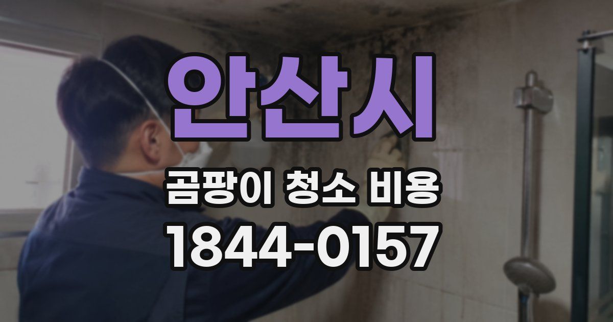 안산시 곰팡이 청소 비용