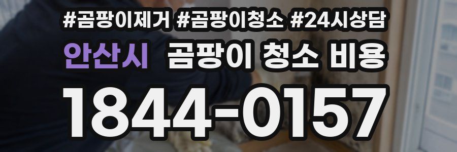 안산시 곰팡이 청소 비용