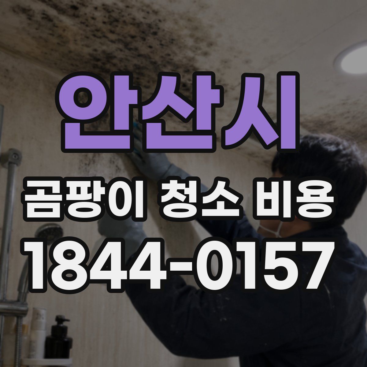 안산시 곰팡이 청소 비용