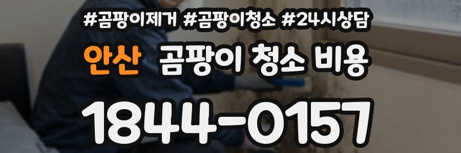 안산 곰팡이 청소 비용