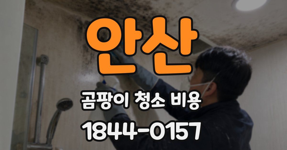 안산 곰팡이 청소 비용