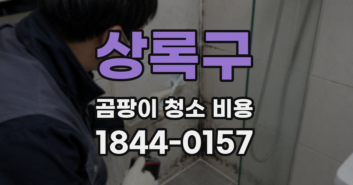 상록구 곰팡이 청소 비용