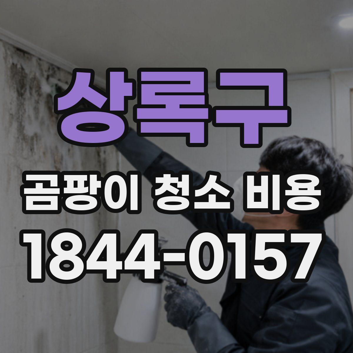상록구 곰팡이 청소 비용