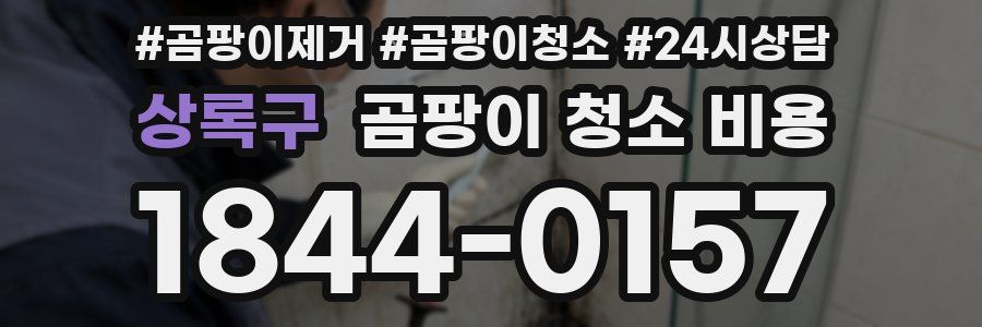 상록구 곰팡이 청소 비용