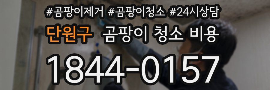 단원구 곰팡이 청소 비용