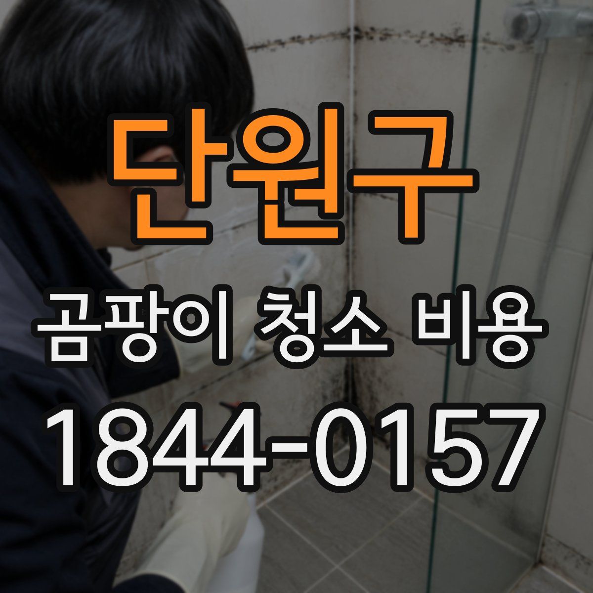 단원구 곰팡이 청소 비용