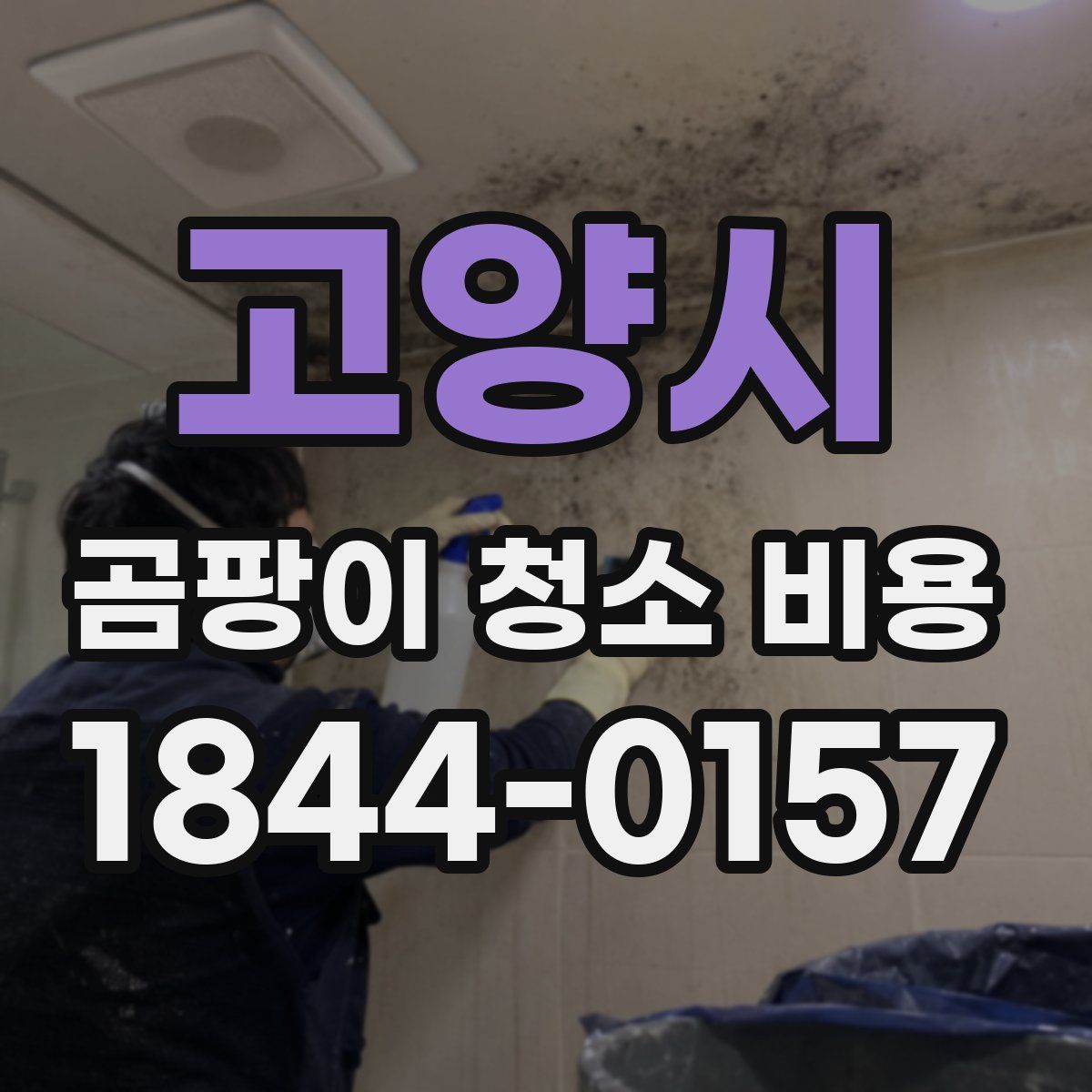 고양시 곰팡이 청소 비용