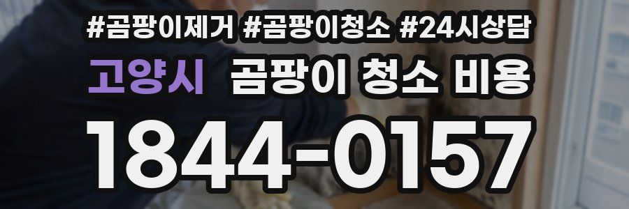 고양시 곰팡이 청소 비용