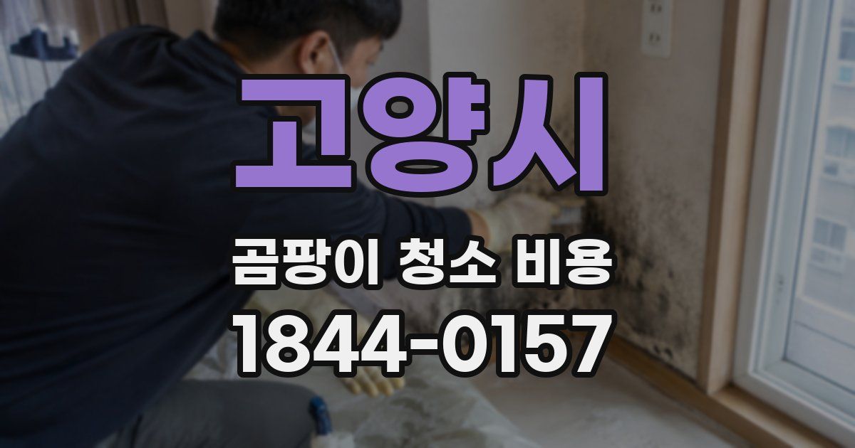 고양시 곰팡이 청소 비용