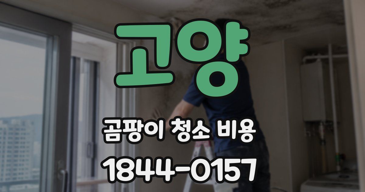 고양 곰팡이 청소 비용