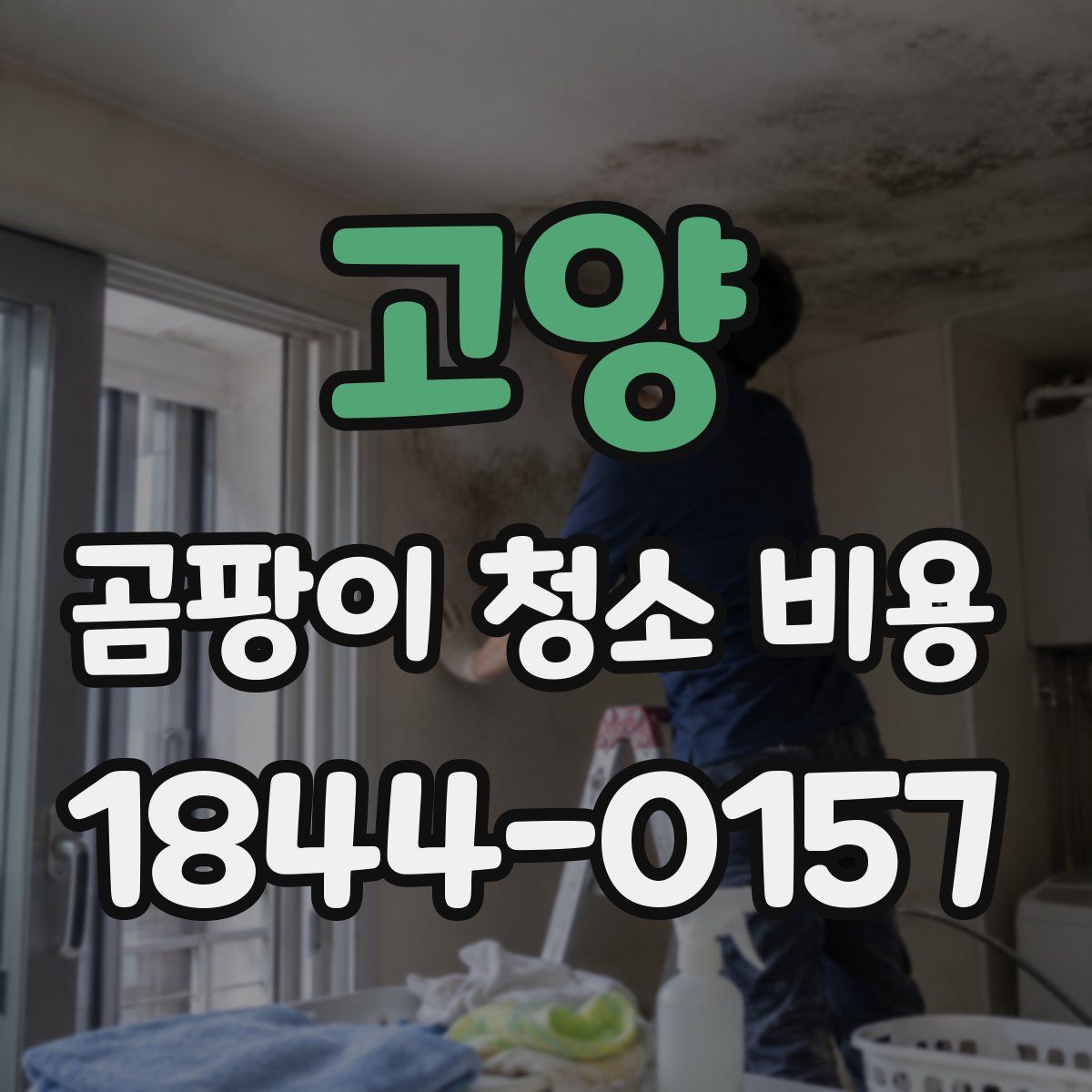 고양 곰팡이 청소 비용