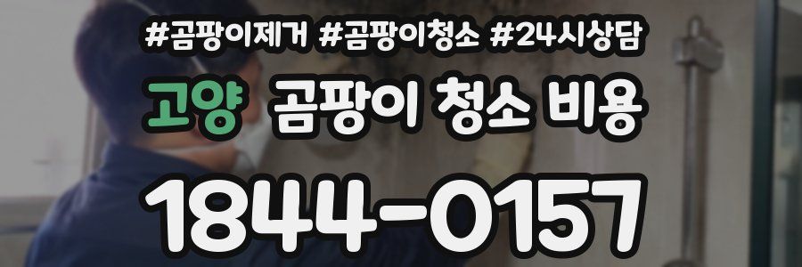 고양 곰팡이 청소 비용
