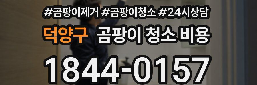 덕양구 곰팡이 청소 비용