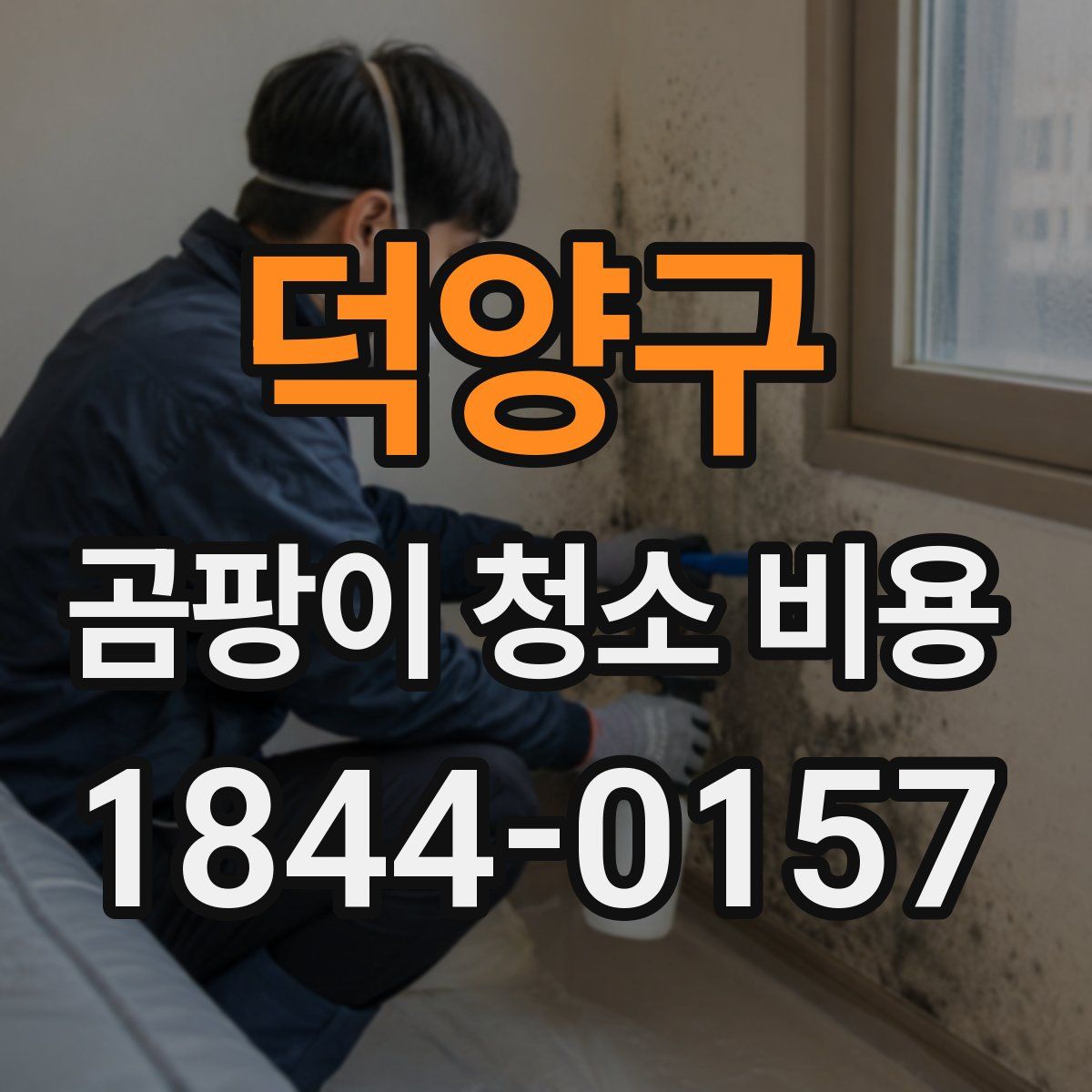 덕양구 곰팡이 청소 비용